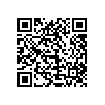 1111Y2K0P300CQT QRCode