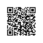 1111Y2K0P400DQT QRCode