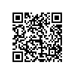 1111Y2K0P500DQT QRCode