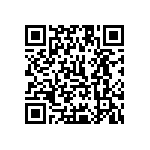 1111Y2K0P600DQT QRCode