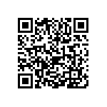 1111Y3001P60DQT QRCode