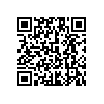 1111Y3003P30DQT QRCode