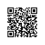 1111Y300P500DQT QRCode