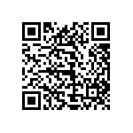 1111Y300P700BQT QRCode