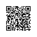 1111Y6304P30CQT QRCode