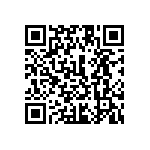 1111Y6304P30DQT QRCode