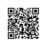 1111Y6304P70BQT QRCode