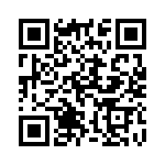 113E QRCode