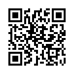 119Y100 QRCode