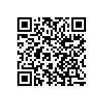 1206J0161P20DCR QRCode