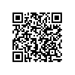 1206J3001P20HQT QRCode