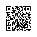 1206J3001P90HQT QRCode