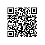 1206J3003P60BQT QRCode