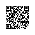 1206Y1001P80CAR QRCode