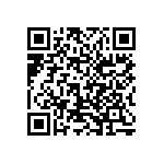 1206Y2000360KQT QRCode