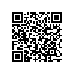 1206Y2K06P20BQT QRCode