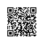 1206Y3001P20DQT QRCode