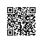 1206Y3005P60DQT QRCode