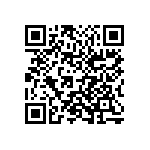 1210Y0250224MXR QRCode