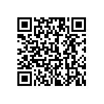 1210Y0500153MER QRCode