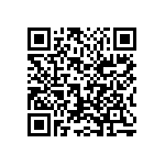 1210Y1K00392JET QRCode