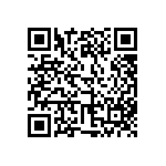 123-87-650-41-001101 QRCode