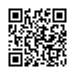 13-000161 QRCode