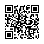 13-38-W QRCode