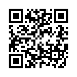 13008-002KESA QRCode