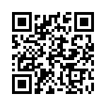 13008-031KESA QRCode