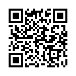 1309X100 QRCode