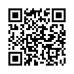 132105RP QRCode