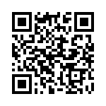 132106RP QRCode