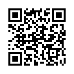 132112 QRCode