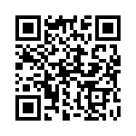 132119 QRCode