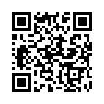 132125 QRCode