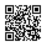 132133 QRCode