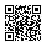 132136 QRCode