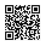 132169RP QRCode