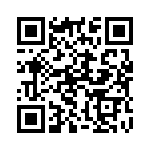 132176 QRCode