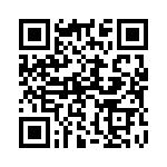 132195 QRCode