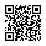 132255RP QRCode