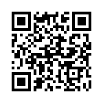 132281 QRCode