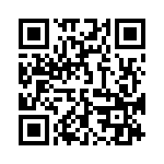 1339-2DVGI QRCode