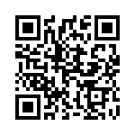 13391-1 QRCode