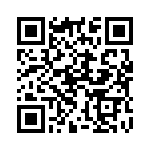 134106 QRCode