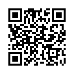 13795-W2412 QRCode