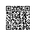 13AL-090-0010-X QRCode