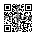 13AT401-T2 QRCode