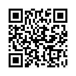 13C3000PA4K QRCode